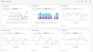 ADP ezLaborManager screenshot