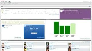 ADP TeamPay screenshot