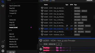 ADSR Sample Manager screenshot
