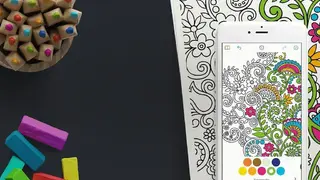 Adult Coloring Book screenshot