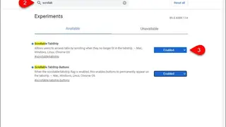 Advanced Chrome screenshot
