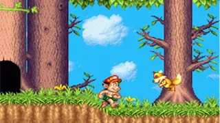 Adventure Island screenshot