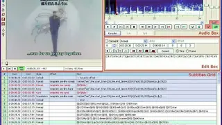 Aegisub screenshot