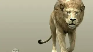 Afrika screenshot