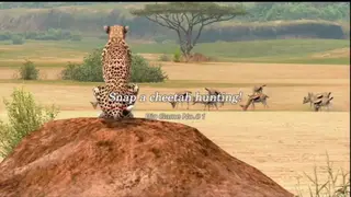 Afrika screenshot