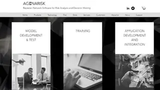 AgenaRisk screenshot