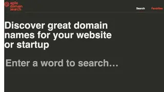 Agile Domain Search screenshot