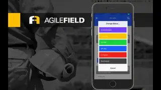 AgileField screenshot