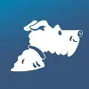 AirfareWatchDog