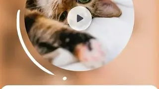 AirVid Video Filters & Frames screenshot