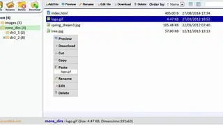 Ajax File Manager screenshot