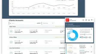Akoni screenshot