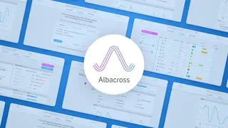 Albacross screenshot