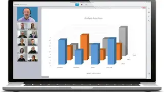 Alfaview screenshot