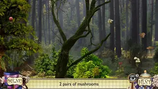 Alice Through the Looking Glass: Find Hidden Items screenshot