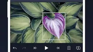 Alight Motion screenshot