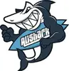 AliShark