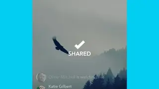 Alively screenshot