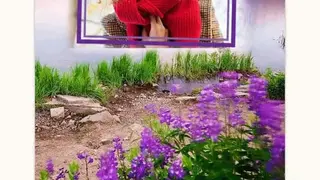 All Seasons Photo Frame screenshot
