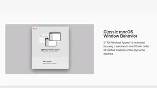 All Windows Appear screenshot