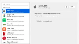 All Your Passwords screenshot