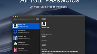 All Your Passwords screenshot