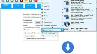 Allavsoft screenshot