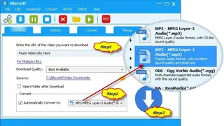 Allavsoft screenshot