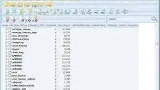 AllDup screenshot