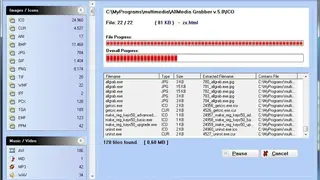 AllMedia Grabber screenshot