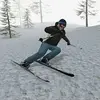 Alpine Ski III