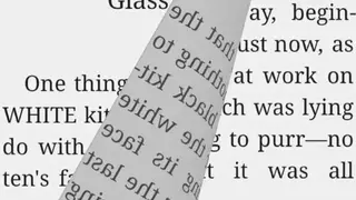 AlReaderX screenshot