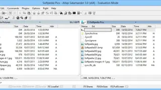 Altap Salamander screenshot
