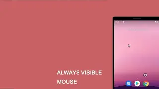 Always visible mouse screenshot