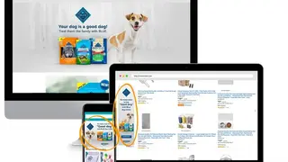 Amazon DSP screenshot