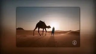 Ambivid screenshot