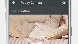 Amcrest IP Cam Viewer by OWLR screenshot