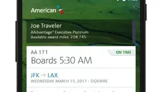 American Airlines screenshot