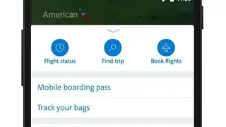 American Airlines screenshot