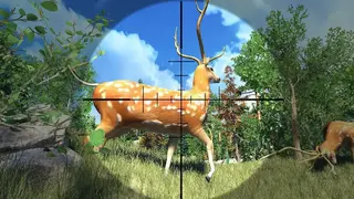 American Hunting 4×4: Deer screenshot