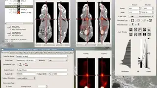 AMIDE screenshot