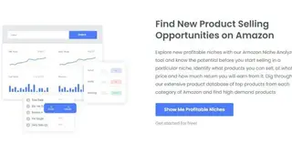AMZInsight screenshot