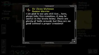 Ananias Roguelike screenshot