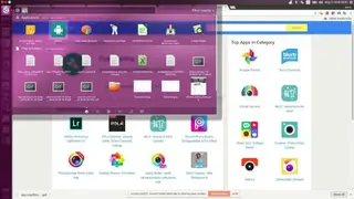 Anbox screenshot