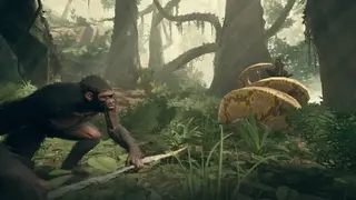 Ancestors: The Humankind Odyssey screenshot