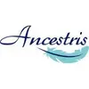 Ancestris