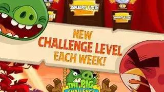 Angry Birds Seasons screenshot