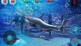 Angry Shark 2016 screenshot