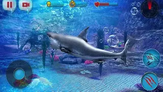 Angry Shark 2016 screenshot