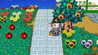 Animal Crossing: Wild World screenshot